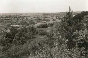 Niederoderbruch. Blick vom Teufelsberg (westlich Oderberg) nach Südost in die Flußebene der Alten Oder (am Fuß des Teufelsberges die Schiffahrtsstraße)
