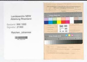 Entnazifizierung Johannes Reichen, geb. 24.06.1913 (Verw.Angest.)