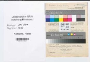 Entnazifizierung Heinz Koesling , geb. 27.07.1910 (Polizist)