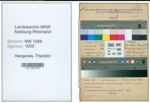 Entnazifizierung Theodor Hengvoss , geb. 12.06.1890 ()