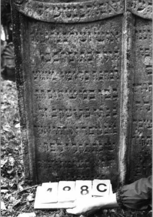 Grabstein 488 (Index: 99752892) Material: Sandstein Zustand: leicht verwittert Maße HxBxT: 134x96x13 cm Beschreibung: Doppelstele, geschwung. Abschlüsse mit Mittelakroteren, zwei Schriftfelder eingetie Symbolik: Trauben, Feigen, Muscheln, Band, Wappenschild, Schriftband: Grabstein 488C