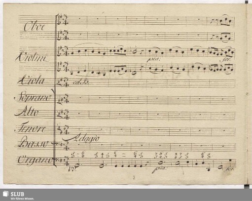 Salve Regina