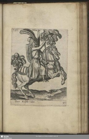 Eques Polonus