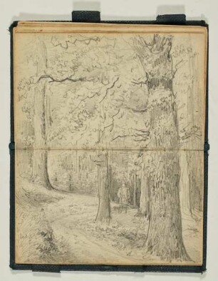 Wald mit Förster - Liegender Mann mit Pfeife