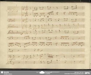 Cavatina: "Da questi lineamenti"