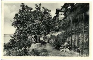 Dresden. Loschwitz, Haus Böhme , Körnerweg 26