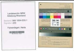 Entnazifizierung Herta Feinendegen , geb. 28.05.1900 (Lehrerin)