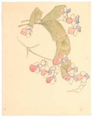 Studie einer Blüte : Blüte und Blattgrün einer Pflanze (Nessel?)
