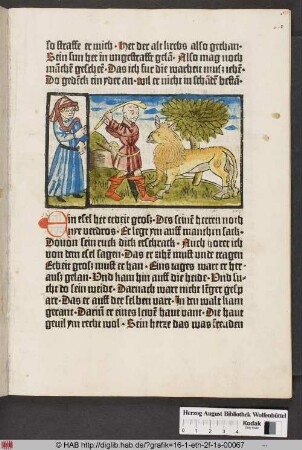 Vom Esel mit der Löwenhaut.