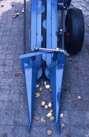 Fotografie: Gartenbautechnik-Freiland, Erntetechnik, Möhren, Radies, Sellerie, Zwiebel