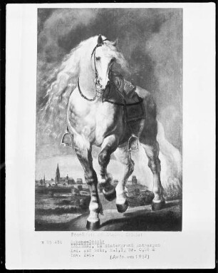 Ein Reitpferd