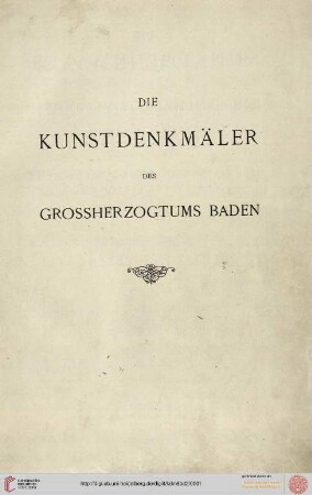 Band 8,2: Die Kunstdenkmäler des Grossherzogthums Baden: Die Kunstdenkmäler des Amtsbezirks Heidelberg (Kreis Heidelberg)