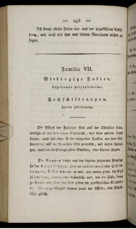 Familie VII. Vieläugige Falter.
