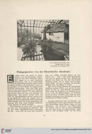 Pädagogisches von der Düsseldorfer Akademie