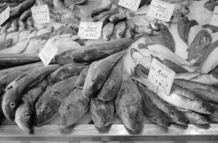 Frankreich : In Frankreich, Boulogne-sur-Mer