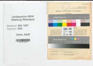 Entnazifizierung Adolf Gans , geb. 19.11.1906 (Bankbeamter)