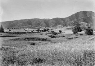 Landschaft : Blick über die von Getreidefeldern und Wein geprägte Landschaft an den Hängen der Diebel Djurdjura