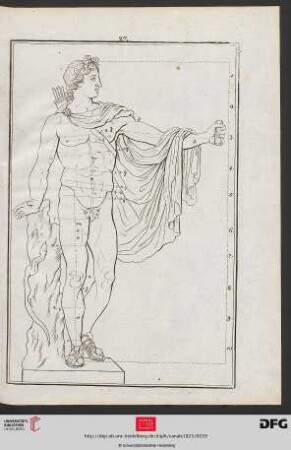 Taf. 27 [Apoll von Belvedere (Proportionen; Kontur)]