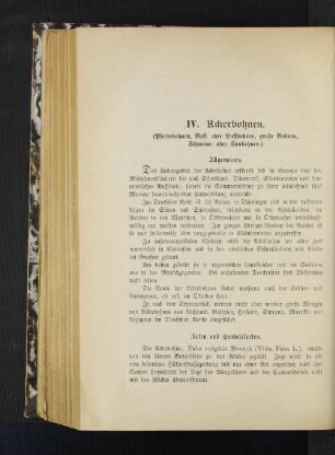 IV. Ackerbohnen. (Pferdebohnen, Buff- oder Puffbohnen, große Bohnen, Schweine- oder Saubohnen.)