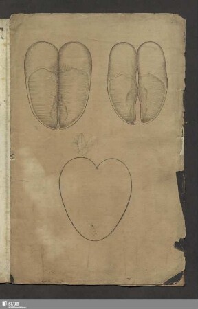 [Faszikel 11: Zeichnungen (Feder, Tinte) vermutlich von menschlichen Organen (Herz ?).]