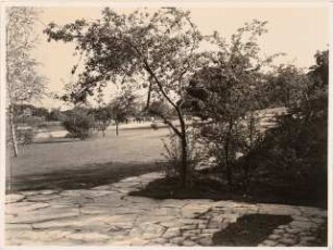 Reichsgartenschau 1939 auf dem Killesberg, Stuttgart: Staudenvergleichsschau