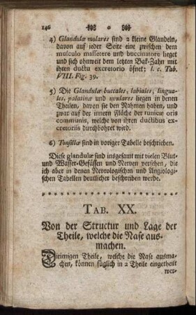 Tab. XX. Von der Structur und Lage der Theile, welche die Nase ausmachen.