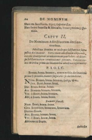 Caput II. De Nominum Adiectiorum declinationibus.