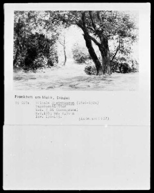 Blick in eine Parklandschaft