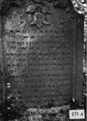Grabstein 837 (Index: 99751442) Material: Sandstein Zustand: leicht verwittert, Stele eingesunken Maße HxBxT: 85x60x10 cm Beschreibung: Stele, geschwungen eingezogener Rundbogenabschluß, Schriftfeld eingetieft Symbolik: Lilie Besonderheit: Psalm 45, 14: Grabstein 837A