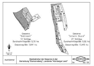 Besitzstruktur der Gewanne in der Gemarkung "Eismannsberg", Landkreis "Nürnberger Land"