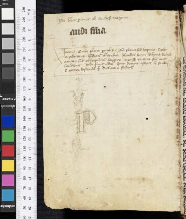Regula monachorum ex scriptis Hieronymi (Auszug)