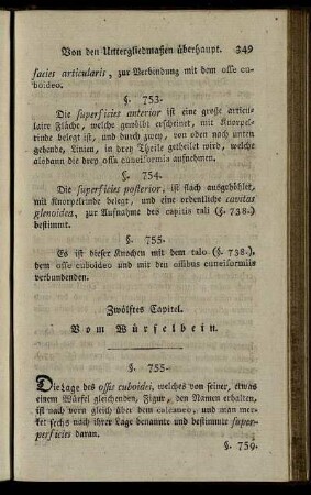 Zwölftes Capitel. Vom Würfelbein. § 755-759.