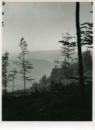 Böhmerwald, Tschechien, Böhmen und Mähren