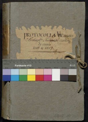 Vikariatsprotokolle 1816-1817
