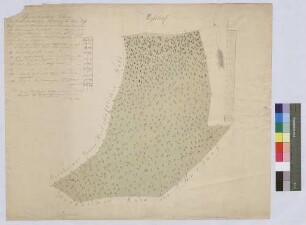 Geometrischer Plan der bronnbachischen Waldung bei dem [Hinteren] Meßhof unweit Hundheim und Steinbach (Inselkarte)
