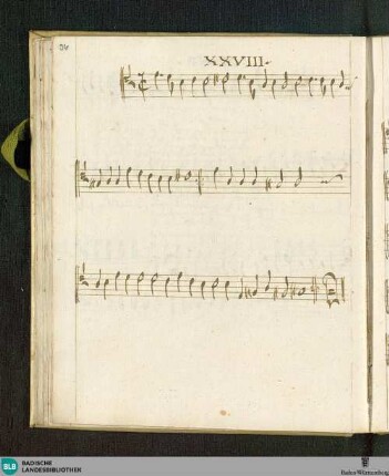 Junger Gsell erachte - Don Mus.Ms. 2032/1 : V (4)