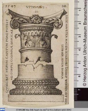 Kapitell und Basis einer Säule