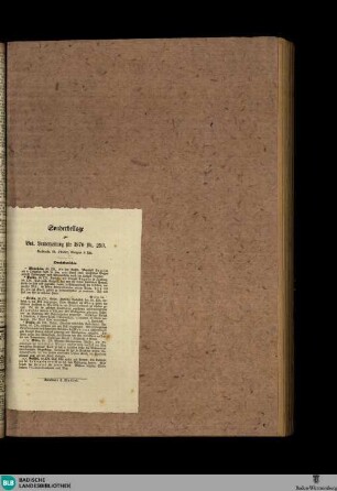 Badische Landes-Zeitung, Sonderbeilage