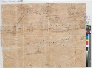 Münster (Hochstift) - Bentheim (Grafschaft) Grenze bei Gildehaus, Bentheim, Schüttorf, Ohne, Ochtrup mit Ortsansichten Ende 16.Jh. o.M. 79 x 106 Zeichnung aus: Reichskammergericht B Nr. 687 KSM Nr. 1266