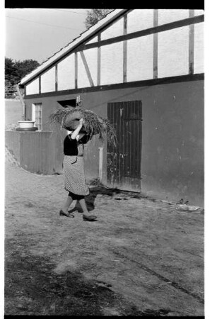 Ankunft am Hof