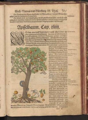 Apffelbaum, Cap. XLIIII