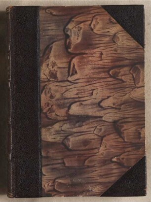 Liber ordinarius monasterii s. Caeciliae Coloniensis : Cod. in scrin. 94