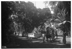 Colombo, Sri Lanka: Straßenszene mit einem Ochsenkarren