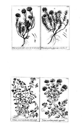 1092-1095