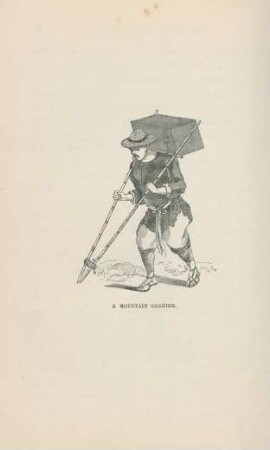 A mountain carrier