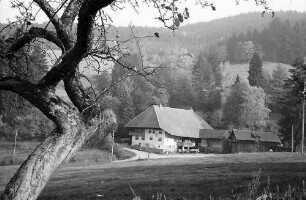 Schwarzwaldhof in Höfen bei Kirchzarten