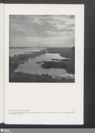 Waal Bei Zaltbommel