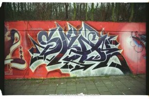 SKAL | SKALAR | funky burna design