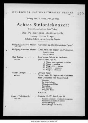 Achtes Sinfoniekonzert