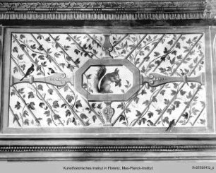 Wanddekoration : Wanddekoration mit Pergola und Eichhörnchen
